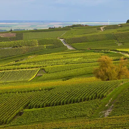 Au Champagne Jean Milan